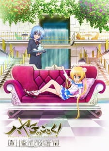 Hayate the Combat Butler: Can’t Take My Eyes Off You (Dub)