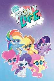 My Little Pony: Pony Life Season 2